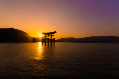 厳島　鳥居