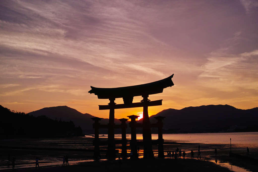 鳥居夕景