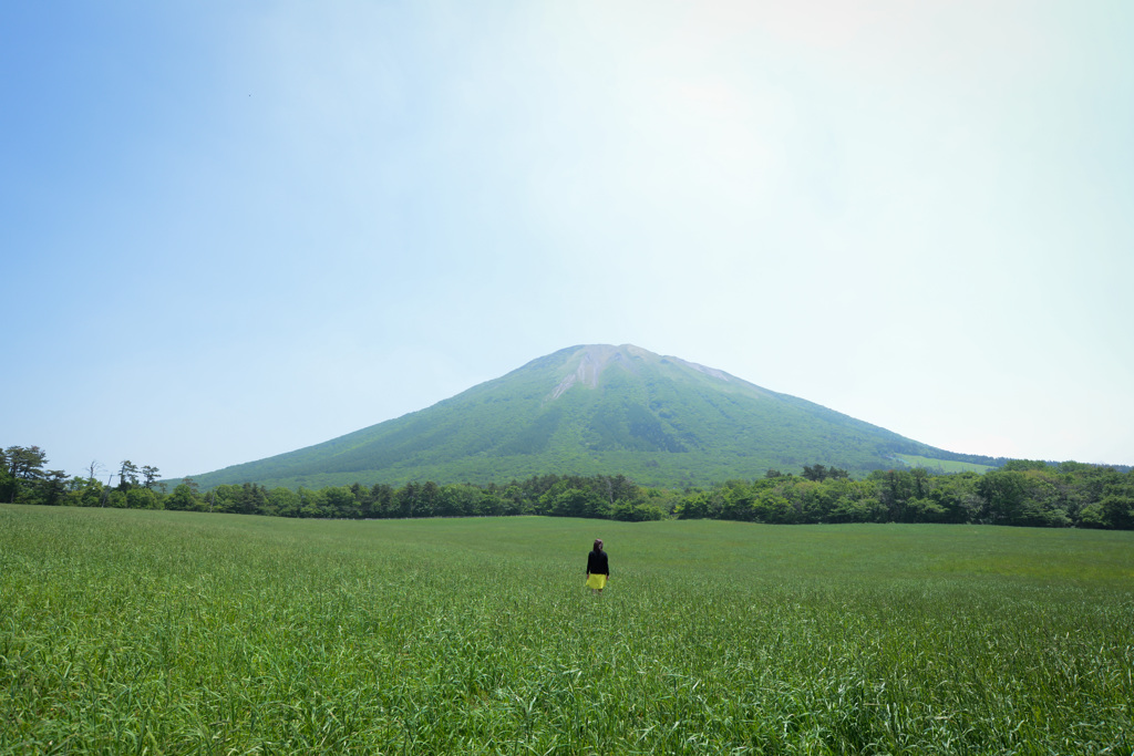 grassy plain