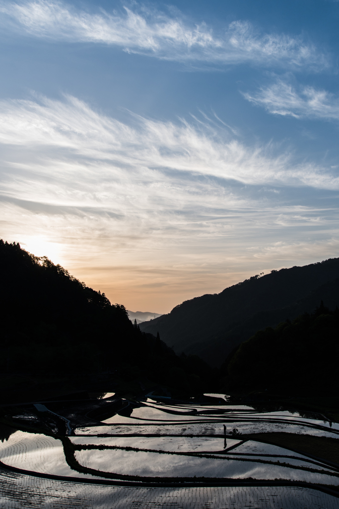 棚田朝景