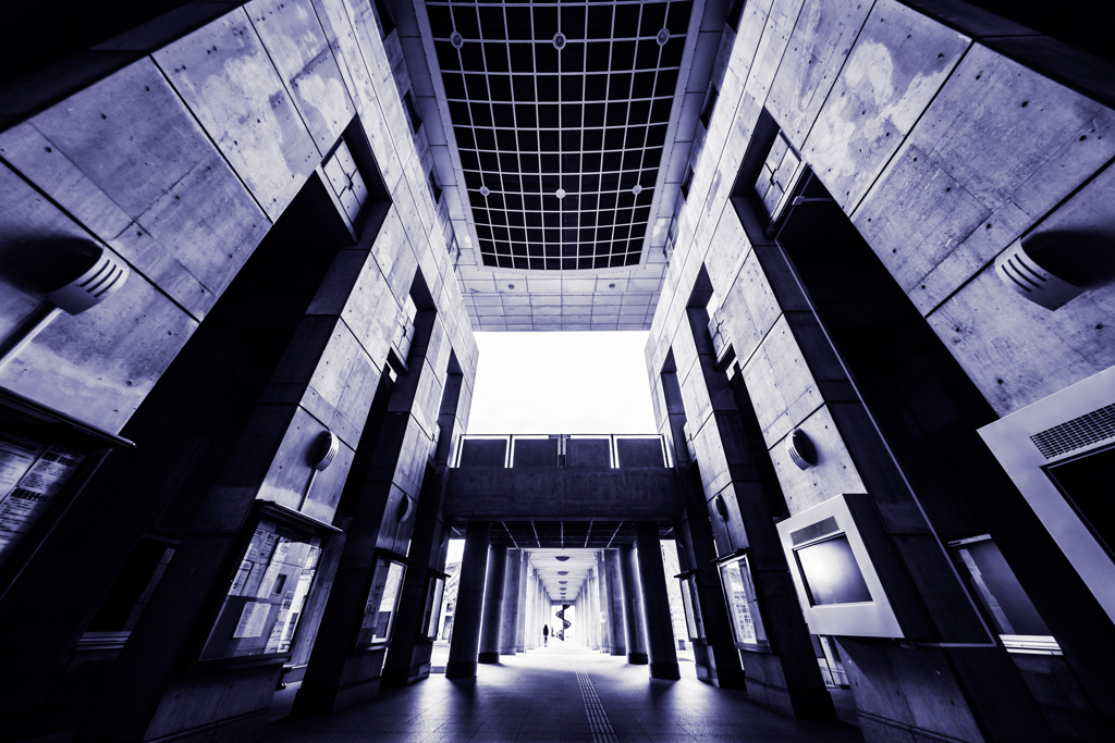 仮想空間