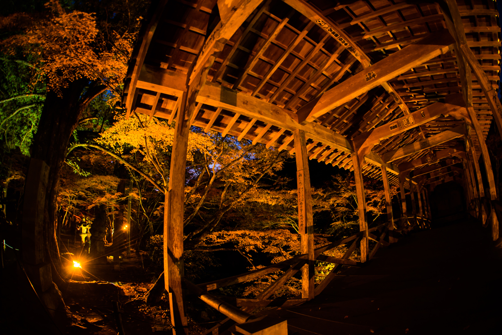 佛通寺