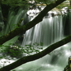 IMGP0823