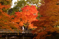 赤と白