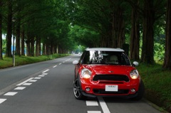 何処までも続く緑のﾄﾝﾈﾙ