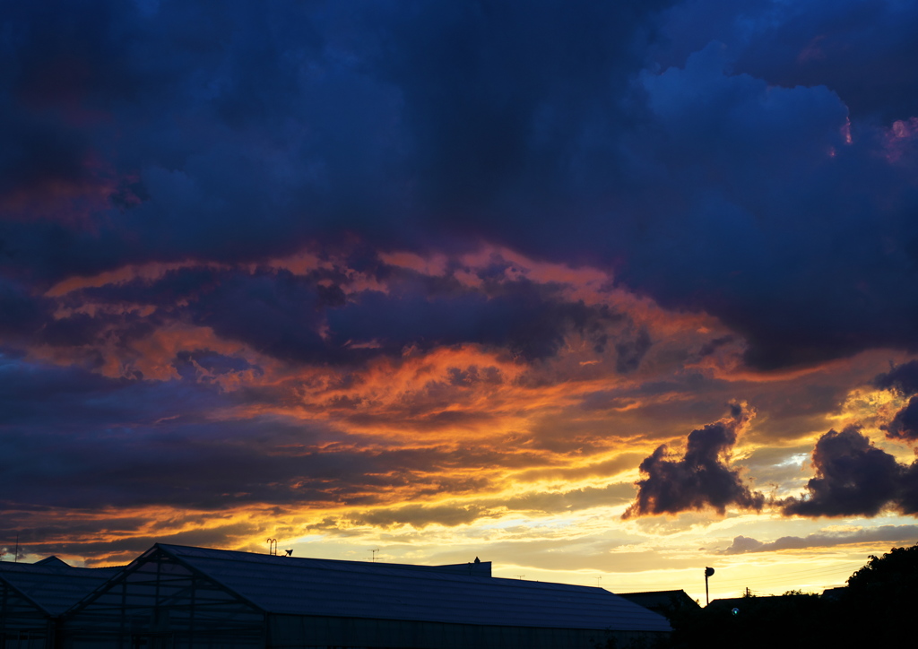 夕焼け