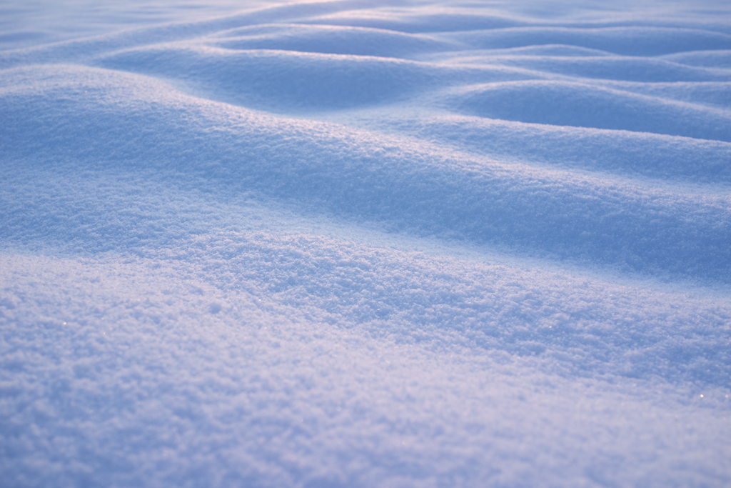 雪原