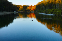 森林公園　