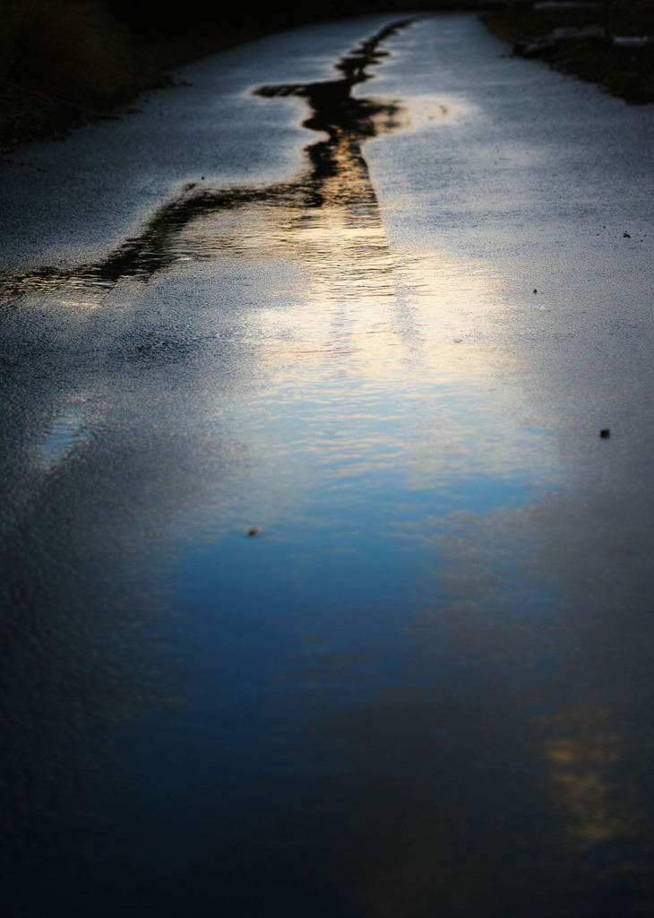 雨上がり