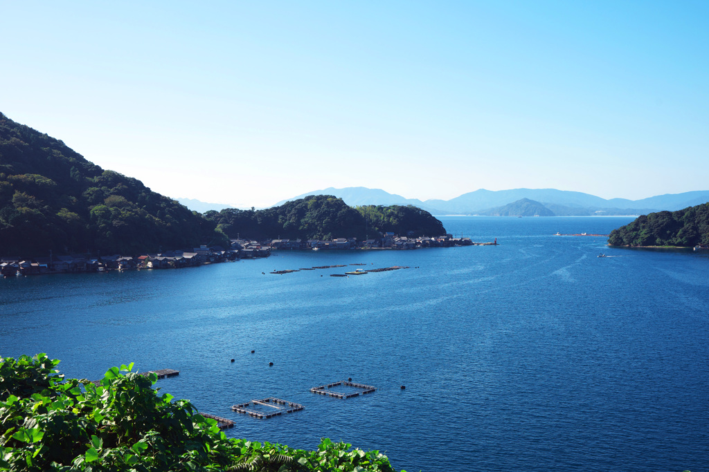 伊根湾