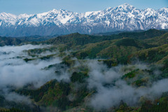 雲海