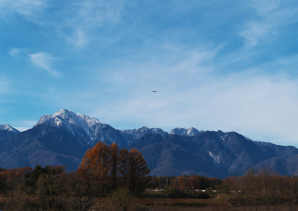 山里
