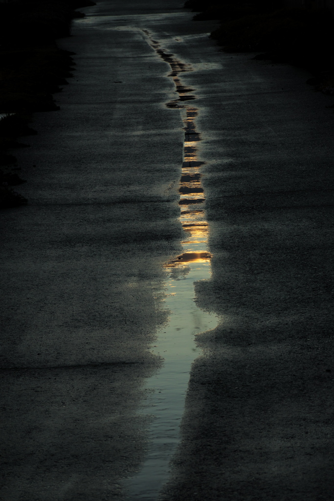 雨上がり