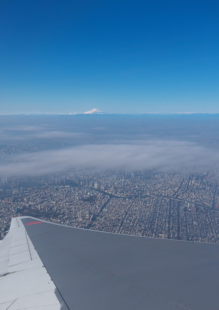 旅立ち