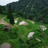 棚田2