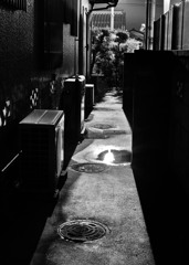 雨上がり