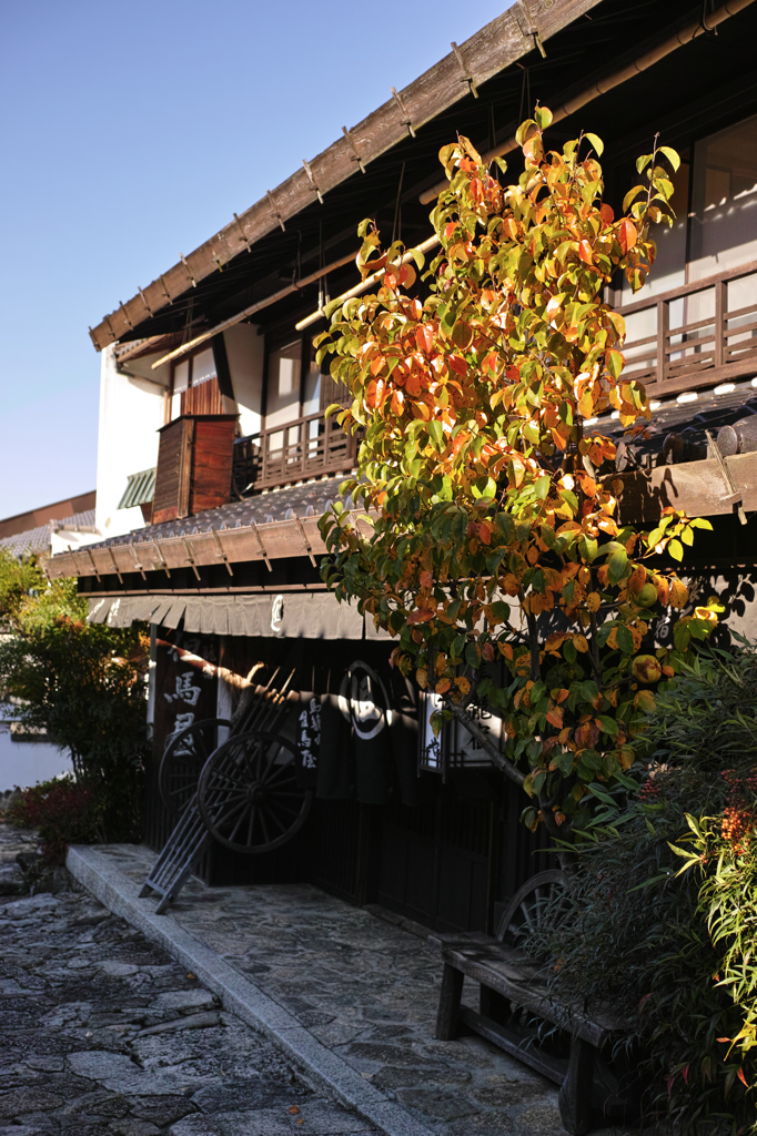 宿場の朝3