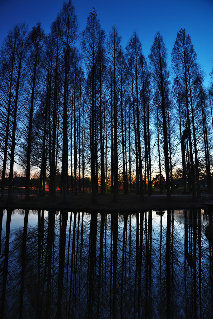 夕暮れ