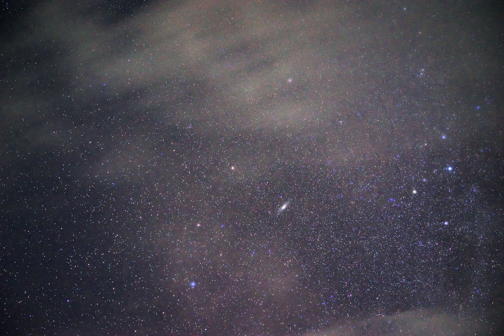 Ｍ31