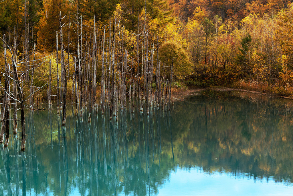 Autumn