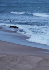 冬の海