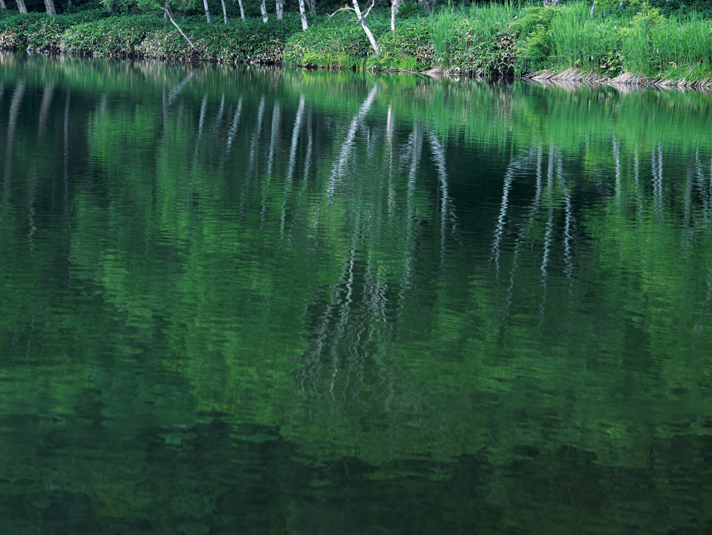 湖沼