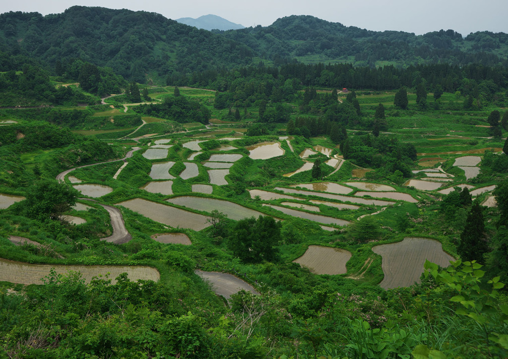 星峠