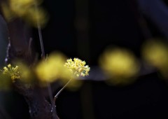 春色2