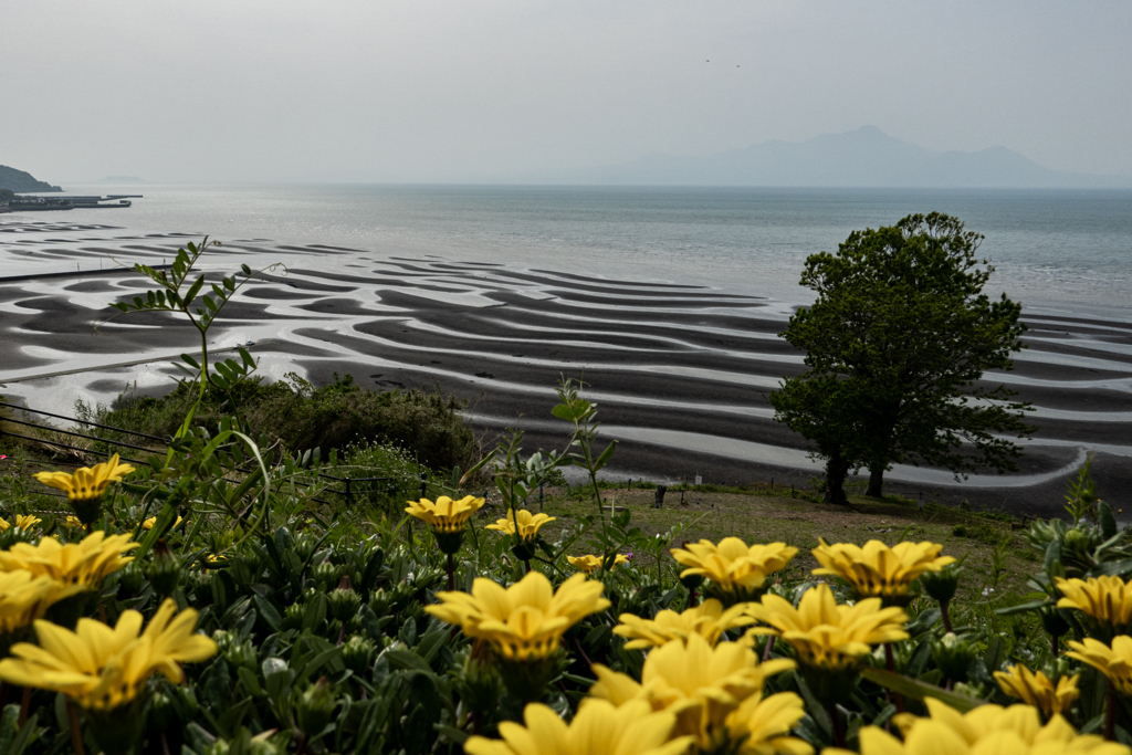 御輿来海岸