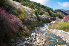 山里