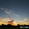 夕暮れ