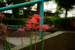 DSC_1829