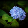 DSC07457