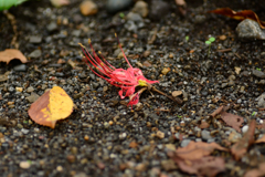 DSC_1799