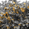 DSC00212