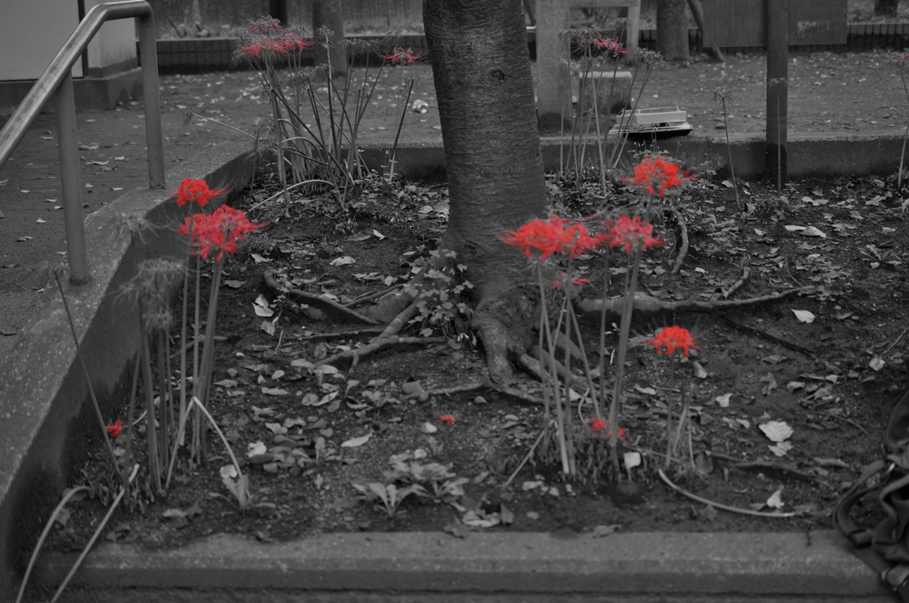 DSC00157