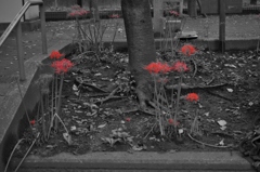 DSC00157