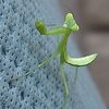 DSC04267 1