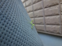 DSC04265_01