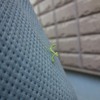 DSC04265_01