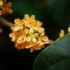 DSC00214