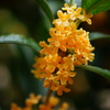 DSC00216