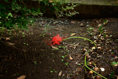 DSC_1842