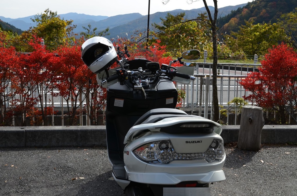 奥多摩周遊道路都民の森