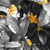 DSC00210