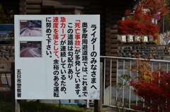 奥多摩周遊道路都民の森