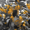 DSC00213