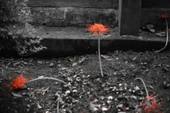 DSC_1851