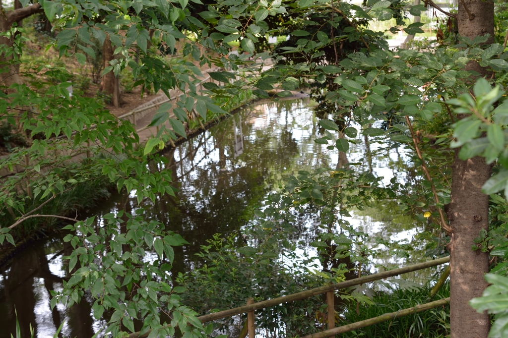 DSC_2218