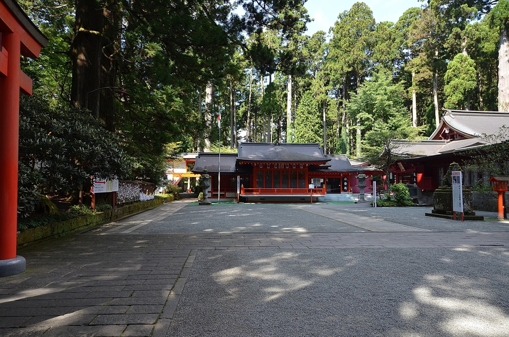 DSC_7092